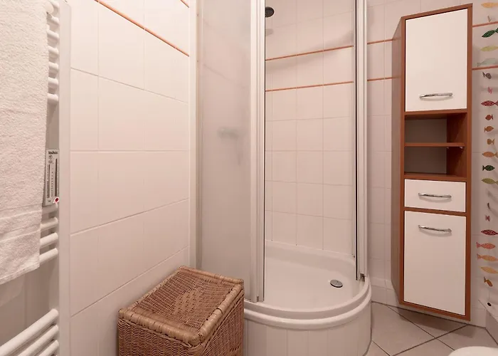 Hanseat Rotkehlchen *