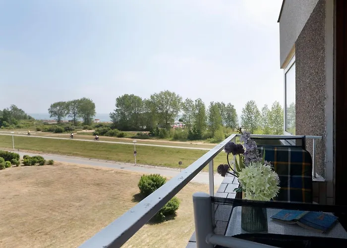 Hanseat Rotkehlchen Grömitz